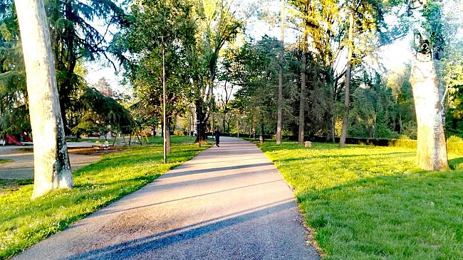 Dall'Europa 17 milioni di euro per il verde fiorentino