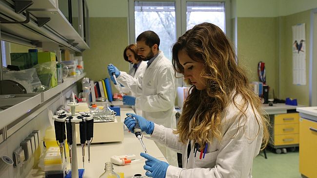 ​Giovane morta per meningite: una forma fulminante da meningococco B