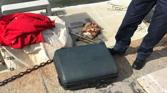 Valigia sospetta, nasconde la carcassa di un cane: ecco cosa dichiara la proprietaria