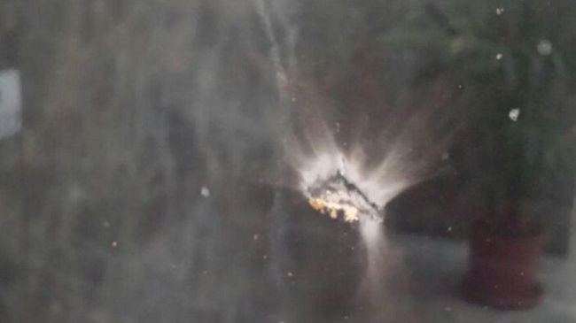 Fiorentina lancia blocco di cemento su vetrata carabinieri