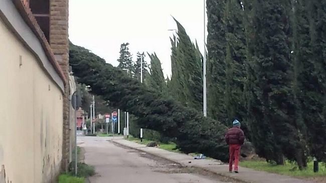 Maltempo: mareggiate su litorale e Arcipelago