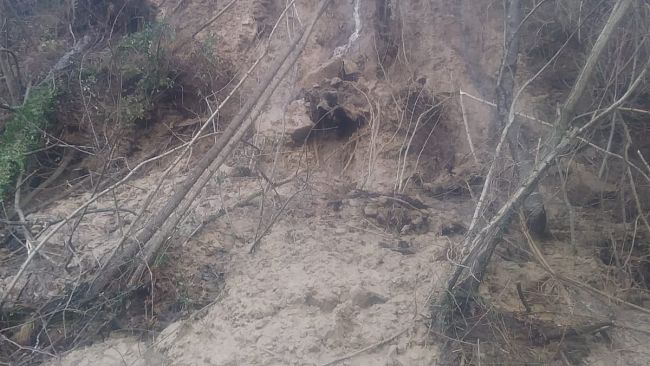 Maltempo: frana sulla Londa-Stia e caduta di un muro sulla Sp 91 a Pomino