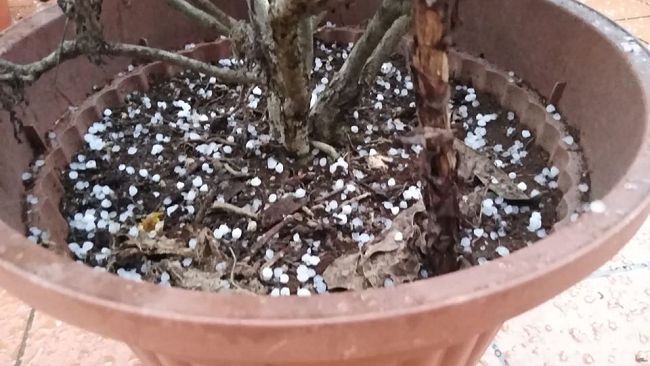 Grandine a sorpresa su Firenze, occhio alla neve in montagna