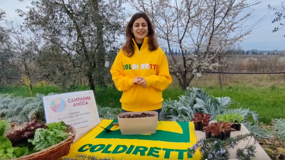 Primavera: i consigli per ottenere insalate e pomodori a ‘metro 0’