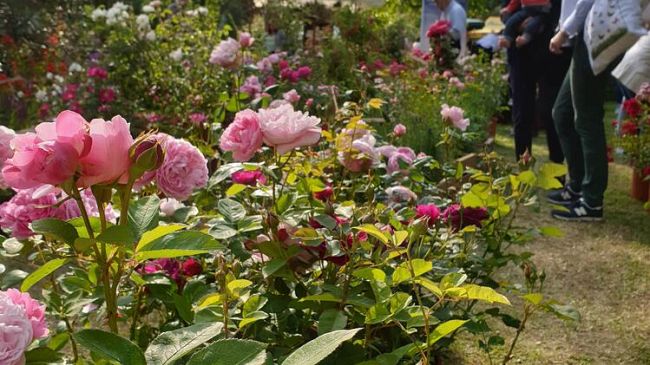 La seconda edizione di Firenze Flower Show