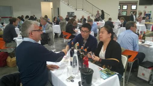 Passione Maremma con i cavalli della Via Clodia