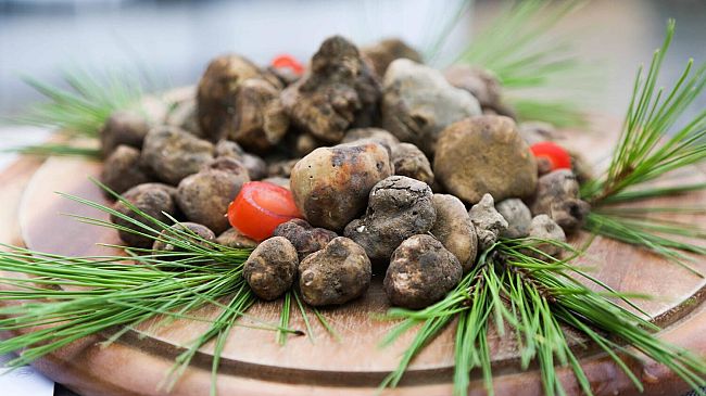 un-marketing-strategico-al-profumo-di-tartufo-bianco