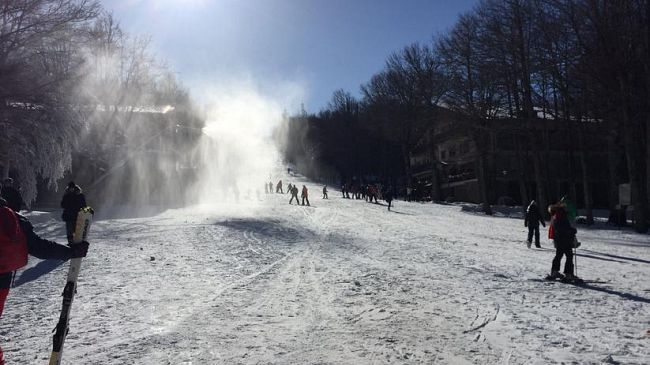 Dalla mezzanotte codice giallo per rischio vento