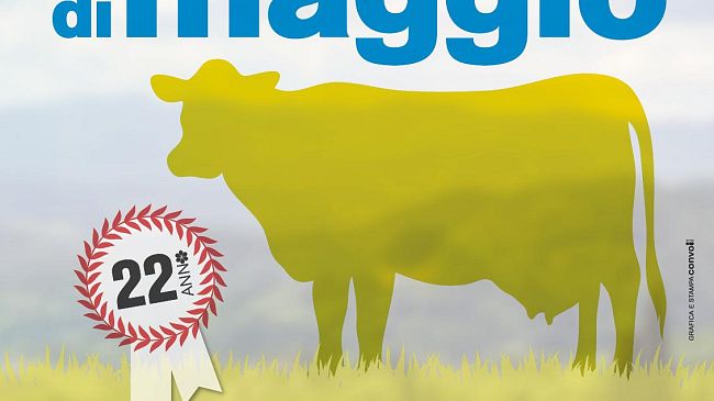 Nel primo fine settimana di maggio giorni di fiera fuori Firenze