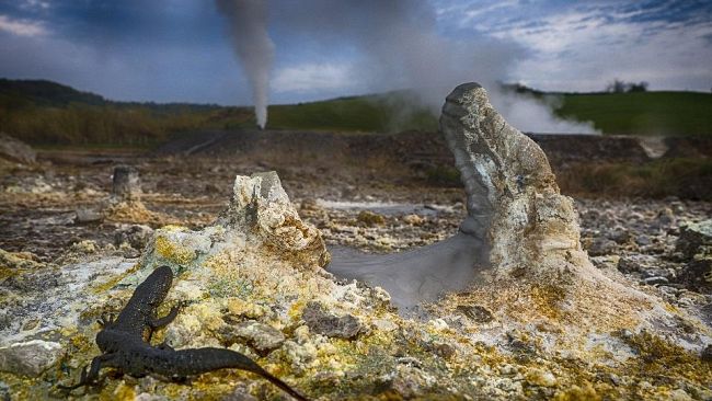 Le meraviglie della natura in 50 foto