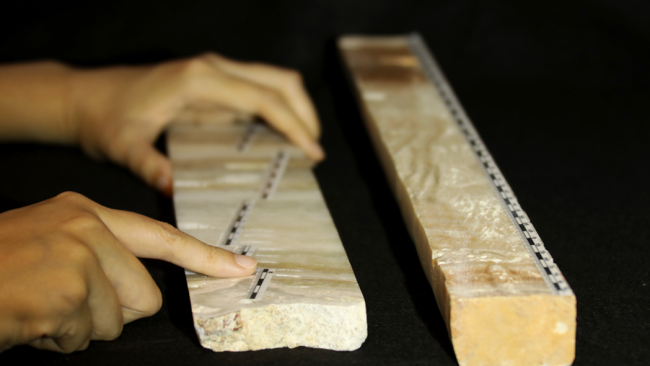 Uno studio: 400mila anni fa la Terra più calda di sempre