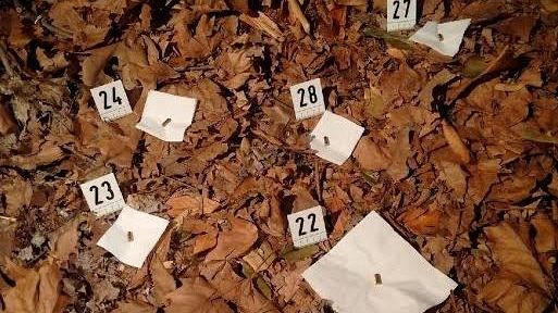 Mostro di Firenze: la pista Zodiac, tra vecchi e nuovi killer