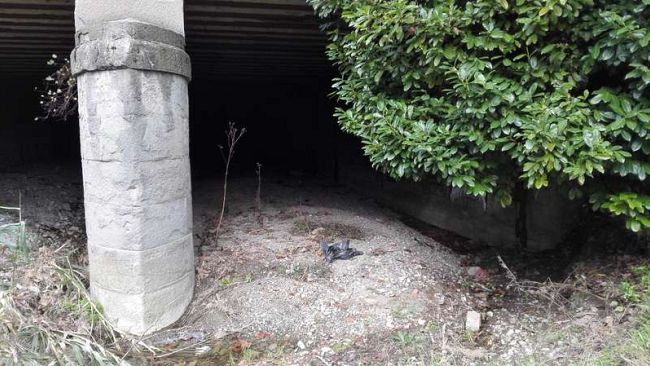 Treni: interrotta la linea Lucca-Altopascio