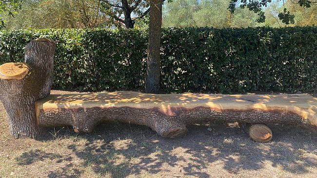 Dall'albero secolare caduto nasce una panchina