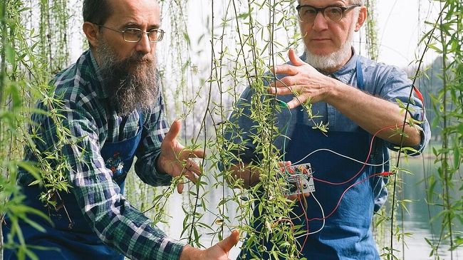In Maremma dal 3 agosto c'è Festambiente