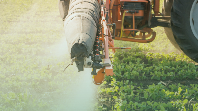 Campi Bisenzio: in vigore il divieto di utilizzo del glifosate
