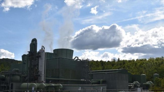 Geotermia, in Toscana la prima serra a calore geotermico