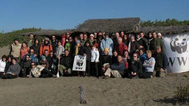 Bolgheri: il Fratino può tornare a nidificare sulla spiaggia dell’Oasi WWF Padule