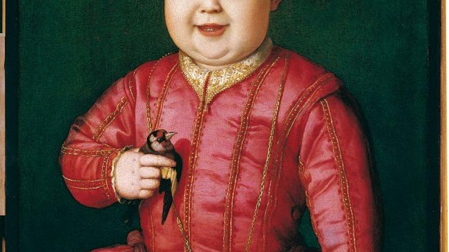 Bronzino: il '500 fiorentino incorniciato