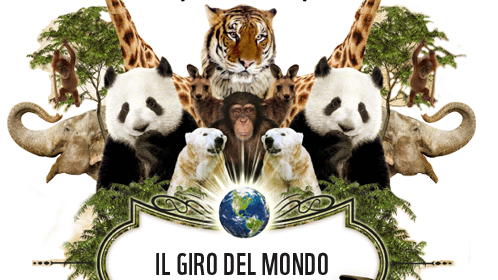 Diario di viaggio: è boom di figurine