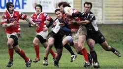 Il 20 novembre il grande rugby arriva allo Stadio Franchi