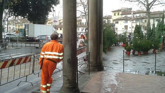 Natale difficile a Firenze: abeti cantierati