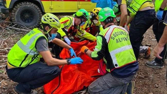 Donna punta da sciame di vespe, paura a San Marcello 
