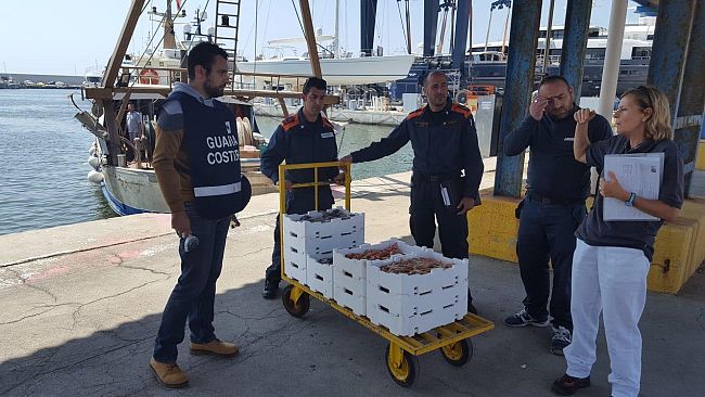 Pesce sicuro in Toscana: pugno duro della Guardia Costiera