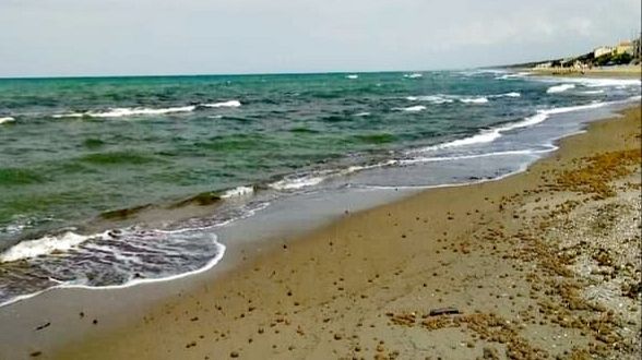 Concessioni demaniali marittime, balneari in mobilitazione