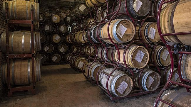 Grappa: è in Toscana la donna più premiata al mondo