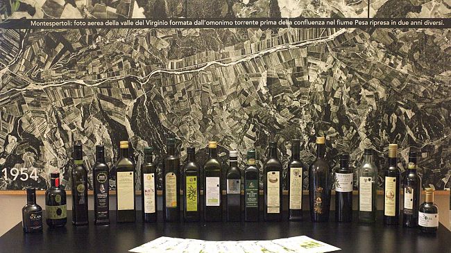 OLEA Project, scopriamo l’olio extravergine d’oliva di Montespertoli