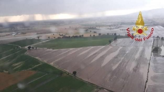 ​Maltempo ad Arezzo, raccolto distrutto: agricoltura in ginocchio