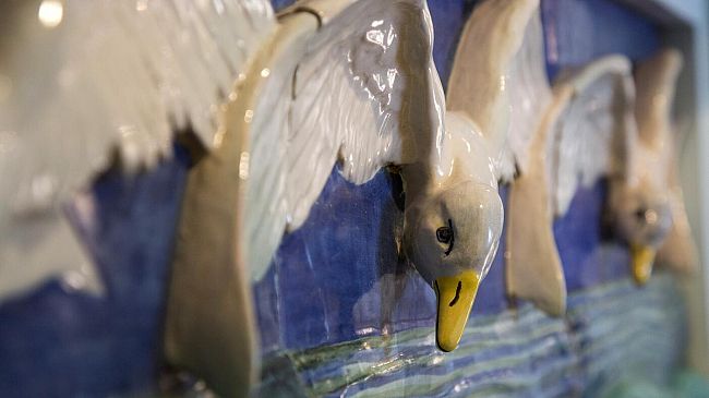 Giornate FAI d’Autunno 2023: tutte le chicche