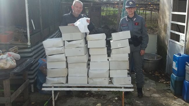 Orti cinesi a Prato: dalla scarsa igiene al lavoro nero, sequestri e sanzioni