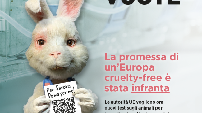 i-cosmetici-cruelty-free-sono-a-rischio