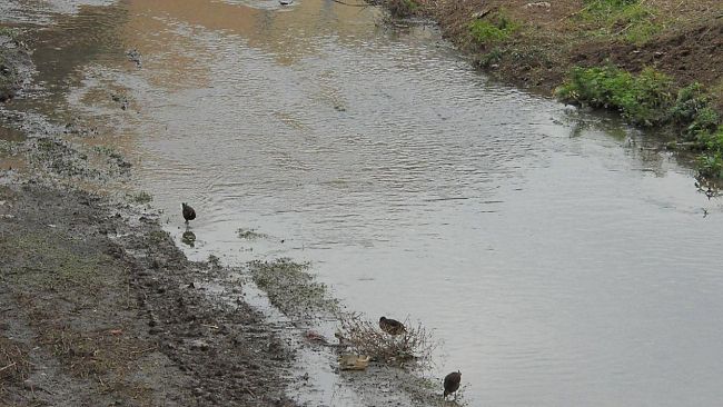 Maltempo: vento e temporali da domani fino a lunedì