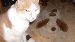 Gli “Amici di Chicco”