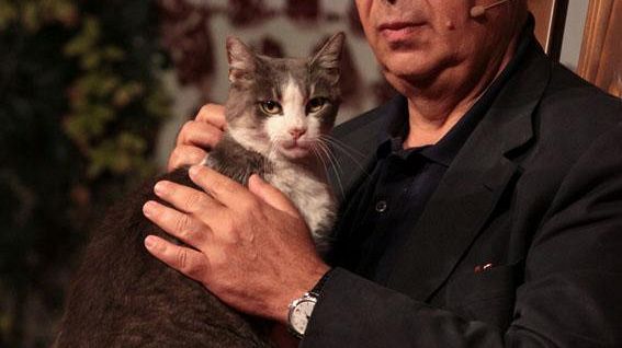 'Il gatto selvatico' (quello vero) incontra Paolo Mieli