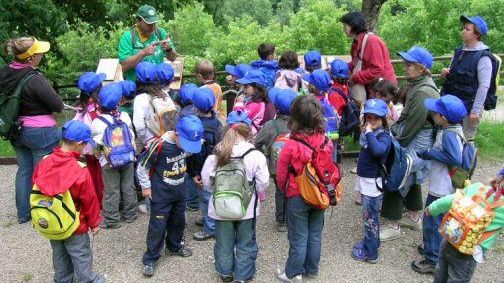 Riforma della scuola, Gelli: la Toscana risponderà con un ricorso.<BR>Appello per il diritto all’istruzione di chi non vede
