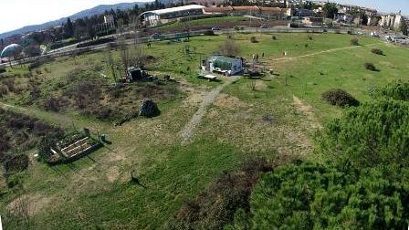 Animali: da sabato 29 novembre (ore 10.00) la prima area per cani di iniziativa popolare e in area privata