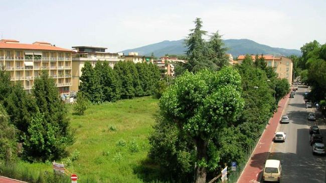 Verde: intensificare il controllo di piante pericolanti e malate