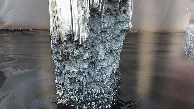 Fabio Viale: ”Acqua alta - High tide” alla Galleria Poggiali