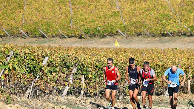 Ecomaratona Chianti Classico a Siena