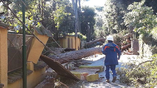 Maltempo: riaperto viale Michelangelo in entrambe le direzioni