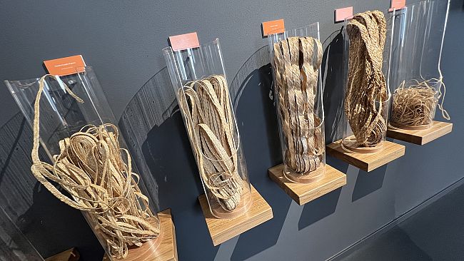 40 anni di attività del Consorzio Il Cappello di Firenze