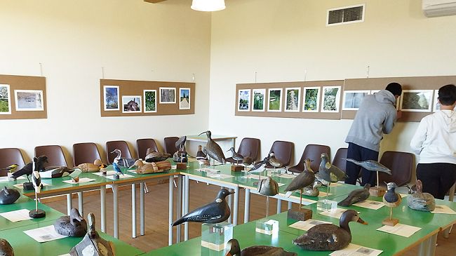 'Le espressioni del Padule' : suoni immagini profumi