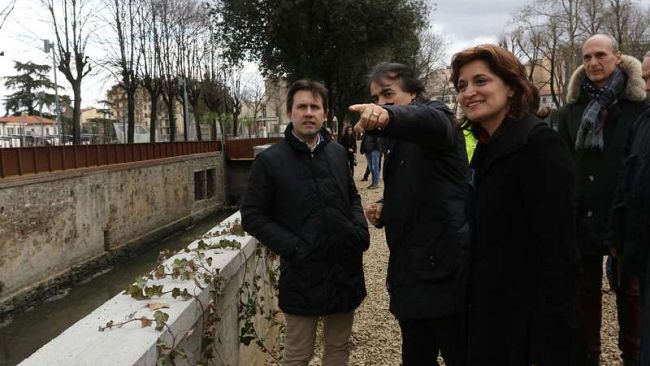 Verde a Firenze: da lunedì abbattimenti e reimpianti, di specie più resistenti