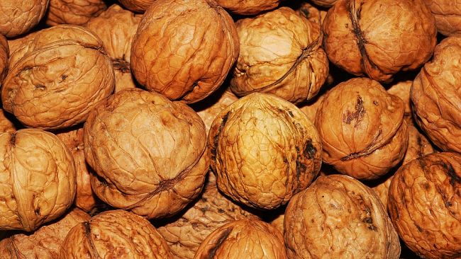 Vende noci senza licenza: multa e sequestro di oltre 100 chilogrammi di frutta secca