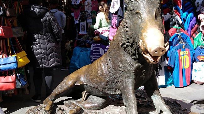 Denunciato ladro di monetine al Porcellino