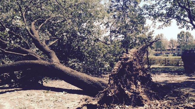 Maltempo: il bilancio dei danni e la polemica sulle cause